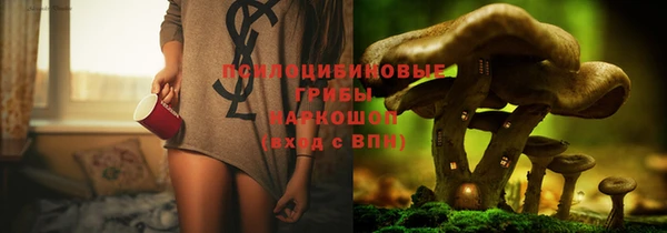 хмурый Алексеевка